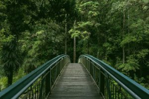 Divi blog masonry layouts