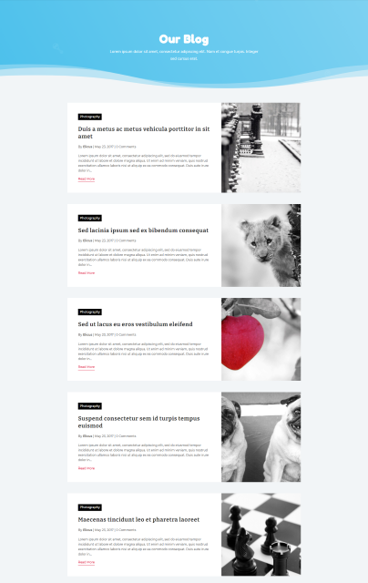 divi-blog-layout-1