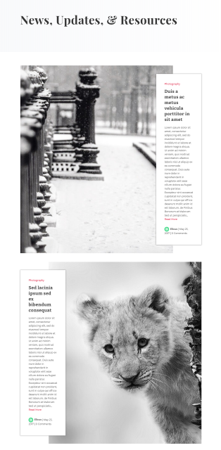 divi-blog-layout-10