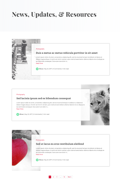divi-blog-layout-11