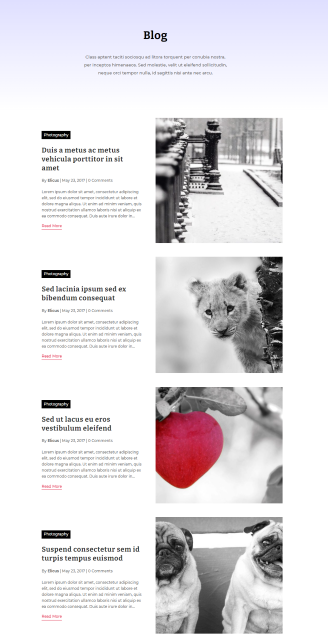 divi-blog-layout-14