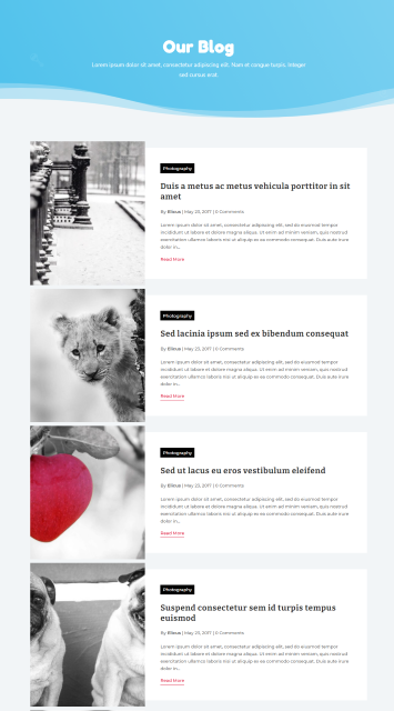 divi-blog-layout-2