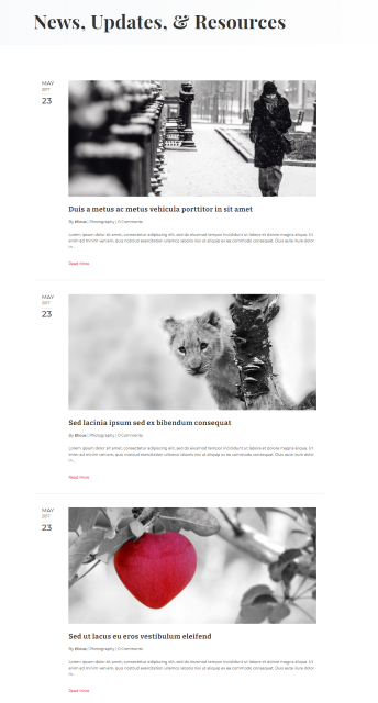 divi-blog-layout-29