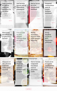 divi-blog-layout-39