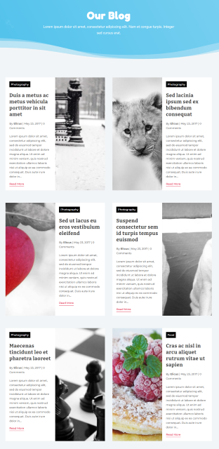 divi-blog-layout-4