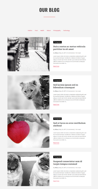 divi-blog-layout-8