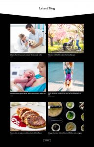 Divi Blog Layout 46