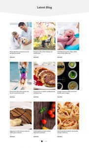 Divi Blog Lyaout 47