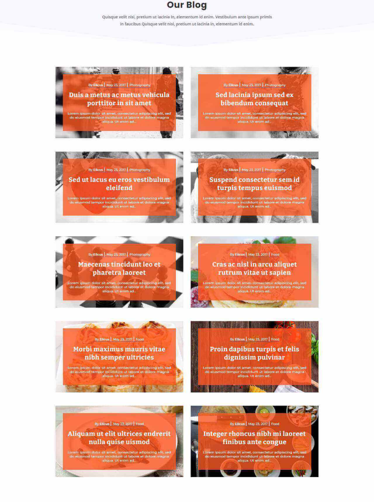 Divi Blog Layout 50
