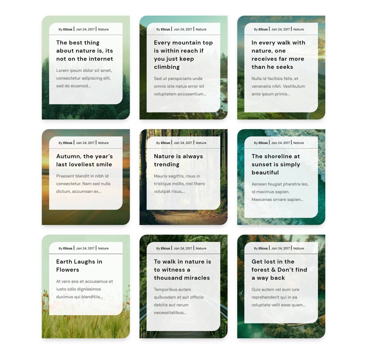 Divi Blog Layout 51