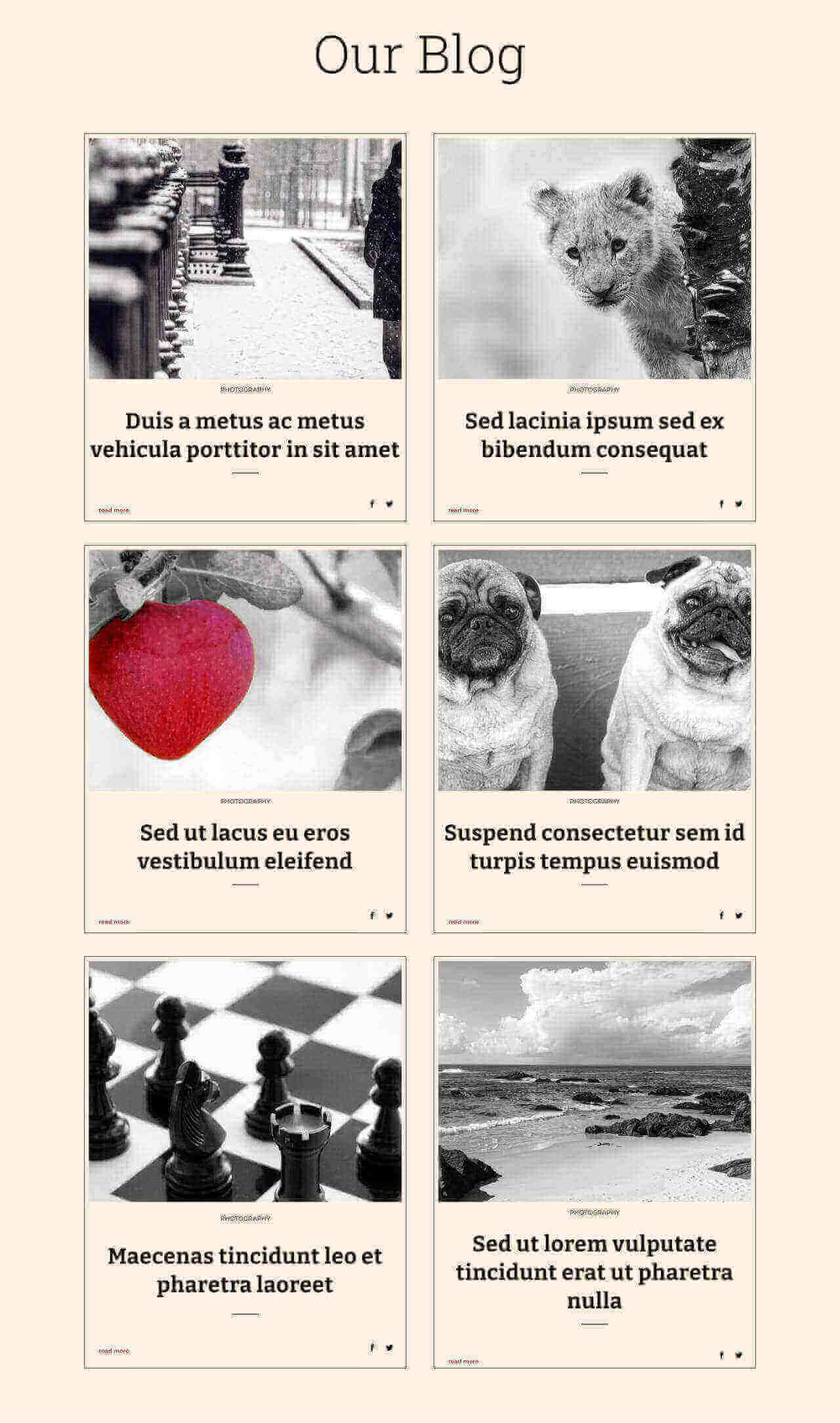 Divi Blog Layout 58