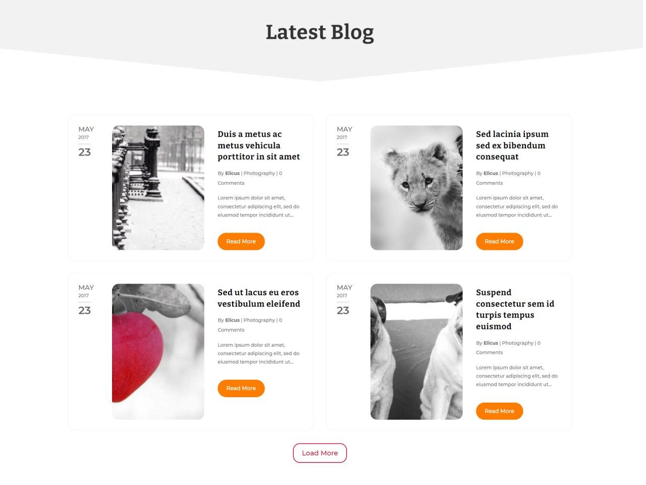 Divi Blog Layout 60